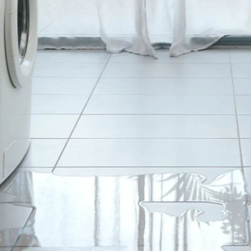 Appliance Leak Cleanup in Hastings, MN