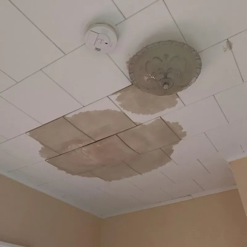 Ceiling Water Damage Repair in Hastings, MN